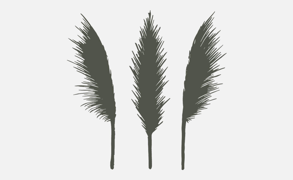 Logo-Te-Arai